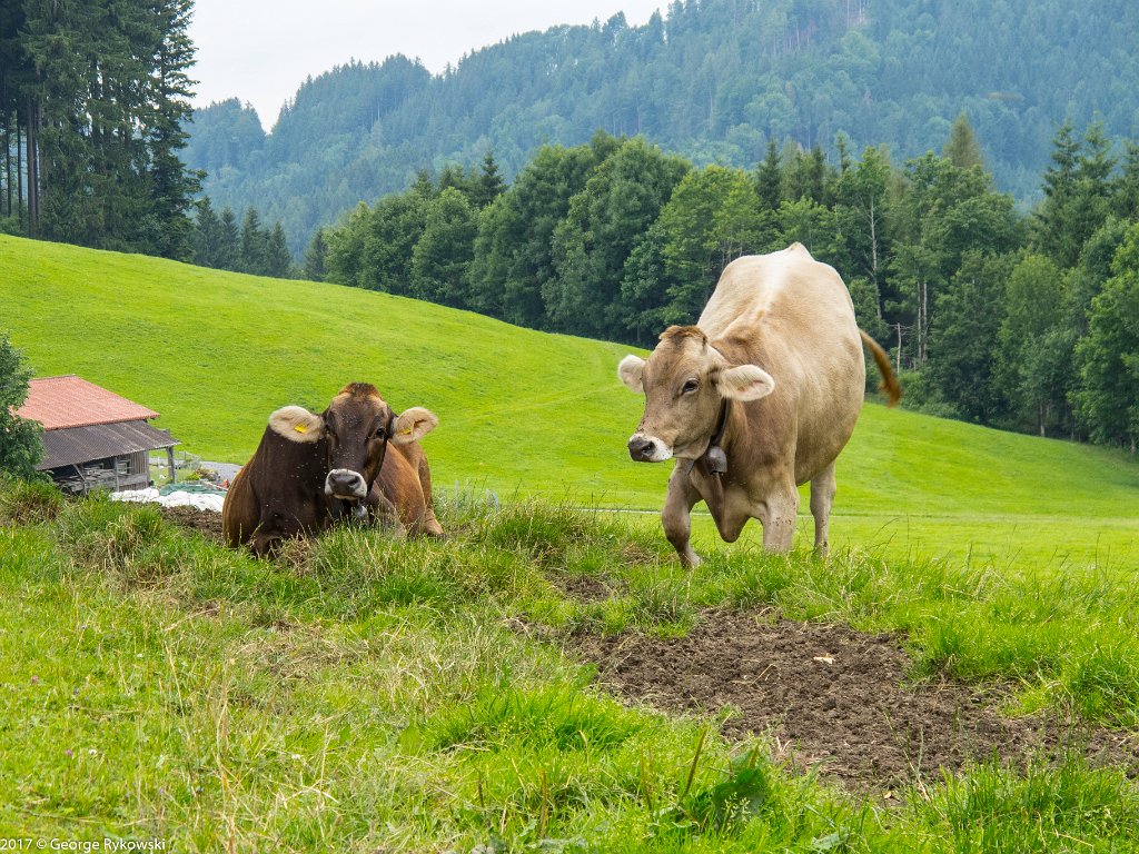 SwissVacation2017-4014