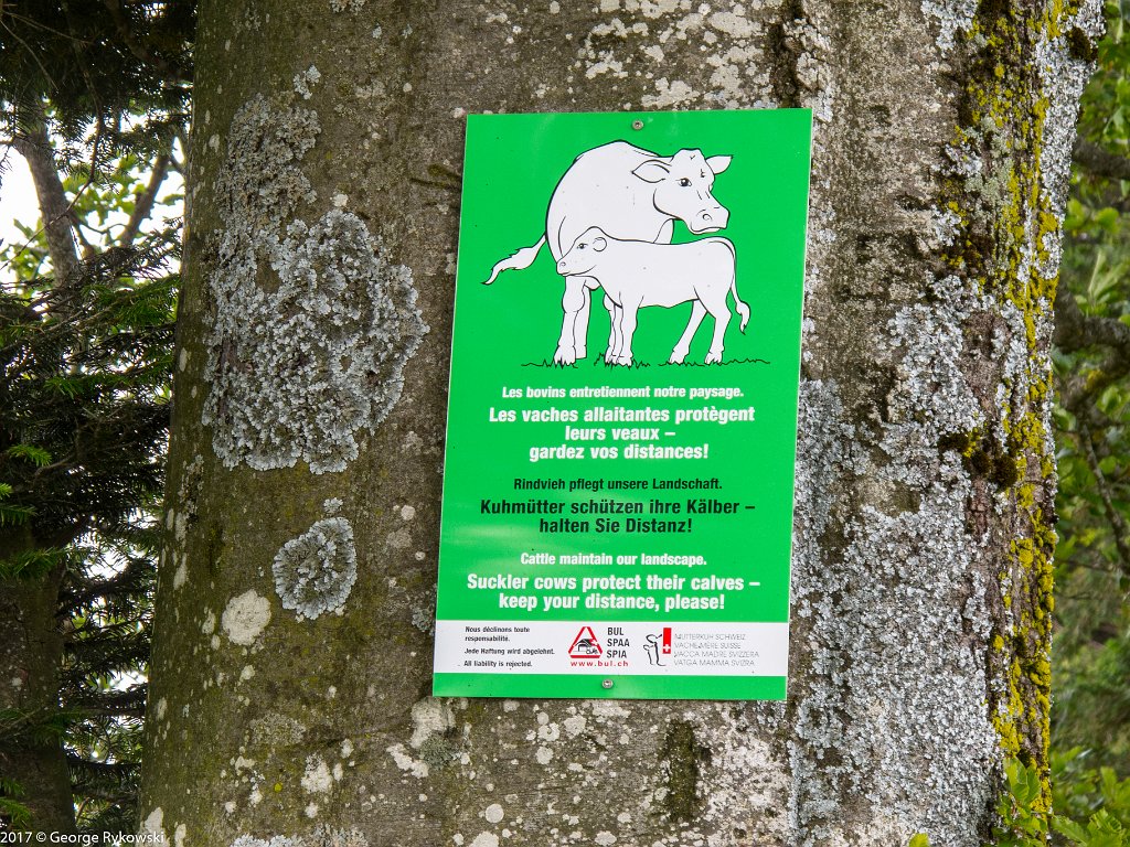 SwissVacation2017-4023