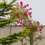 SwissVacation2017-4001.jpg
