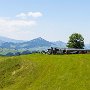 SwissVacation2017-0975.jpg