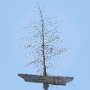 SwissVacation2017-0989.jpg