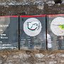 SwissVacation2017-1019.jpg