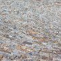 SwissVacation2017-1059.jpg