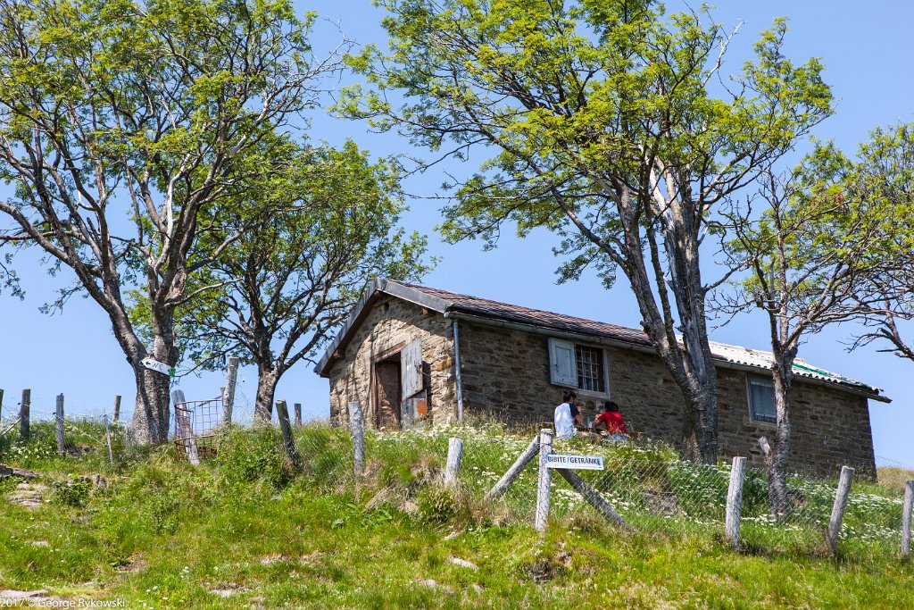 SwissVacation2017-1135