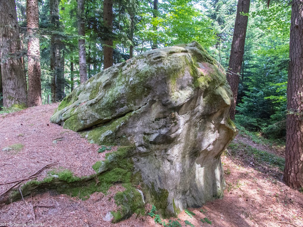 SwissVacation2017-3749