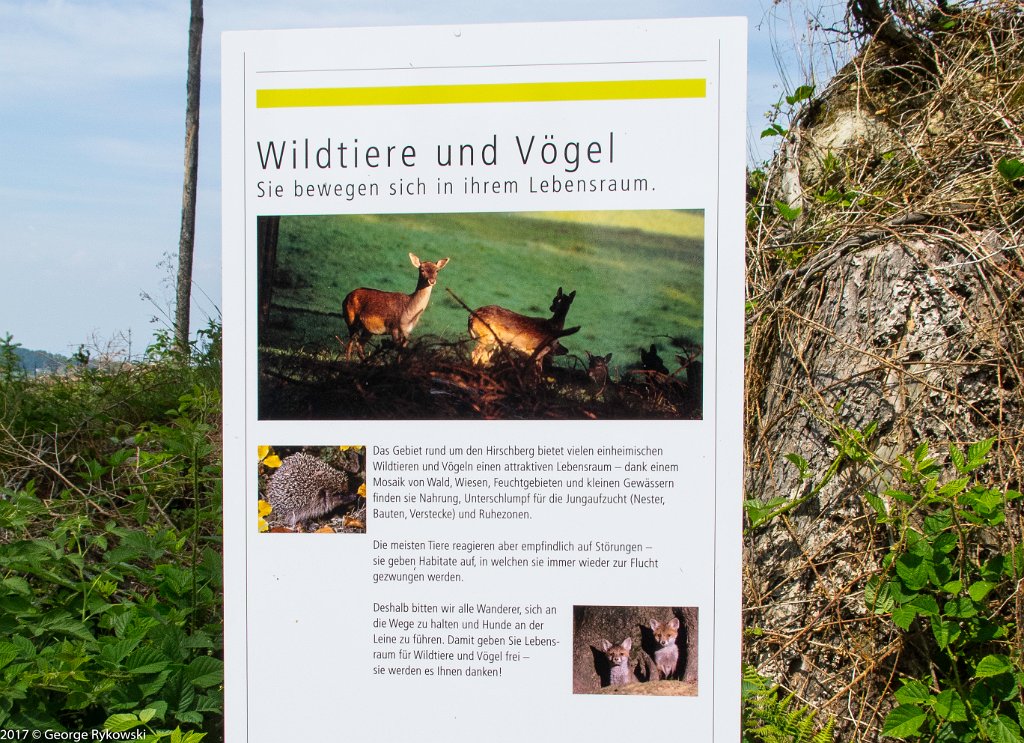 SwissVacation2017-3752