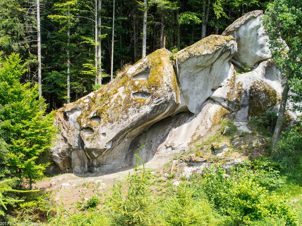 SwissVacation2017-3761