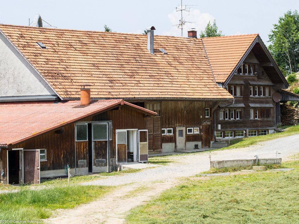 SwissVacation2017-3773