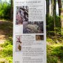 SwissVacation2017-3748.jpg