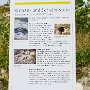 SwissVacation2017-3774.jpg