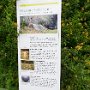 SwissVacation2017-3784.jpg