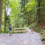 SwissVacation2017-3785.jpg
