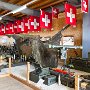 SwissVacation2017-1244.jpg