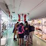 SwissVacation2017-1305.jpg