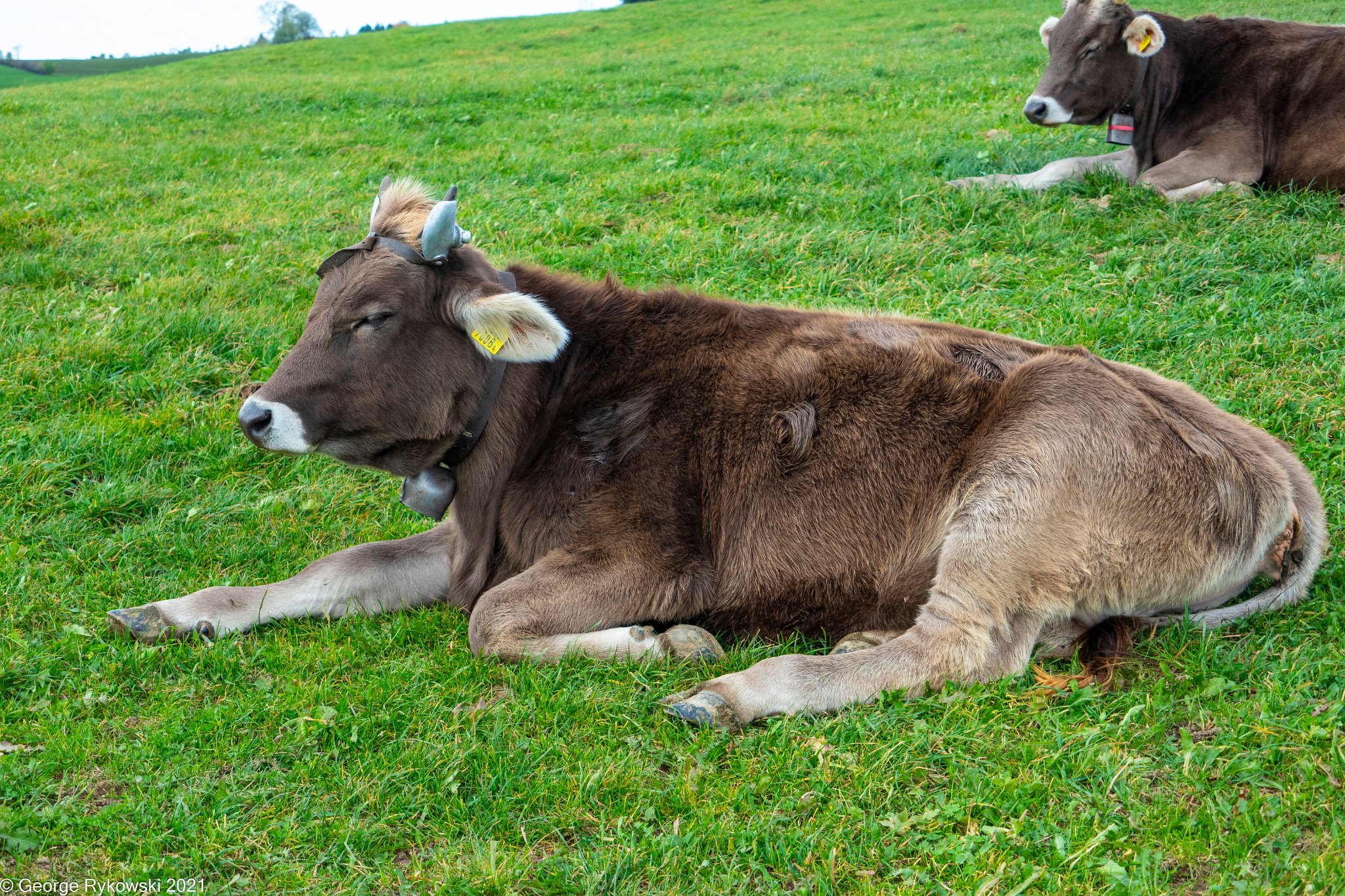 SwissVacation2019-2-1302.jpg
