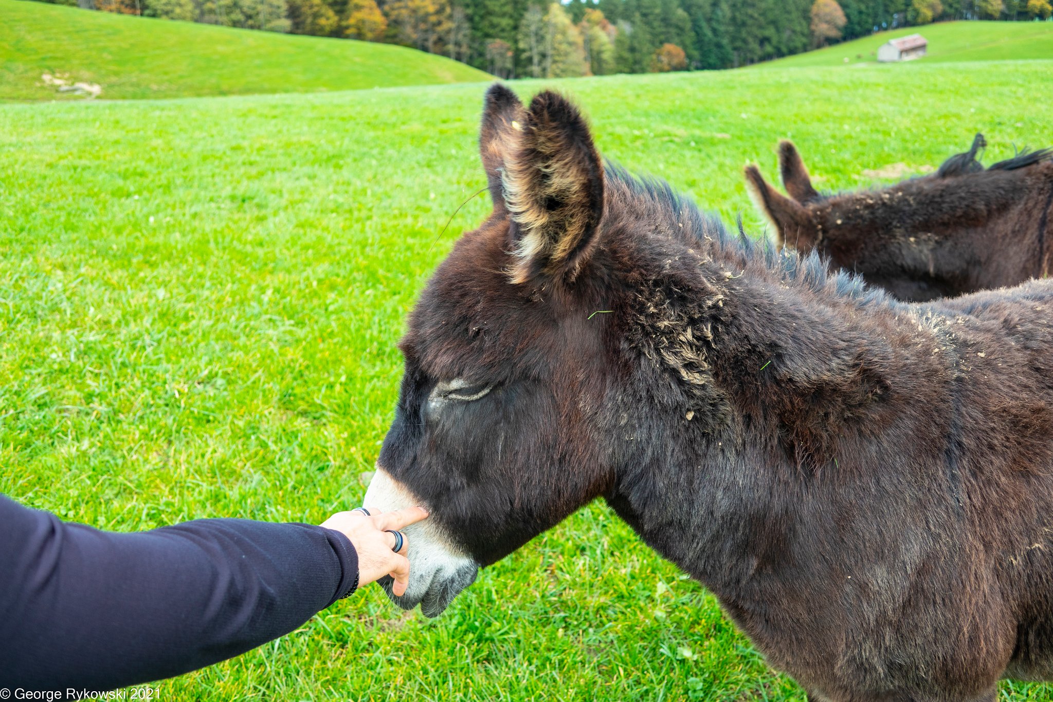 SwissVacation2019-2-1303.jpg