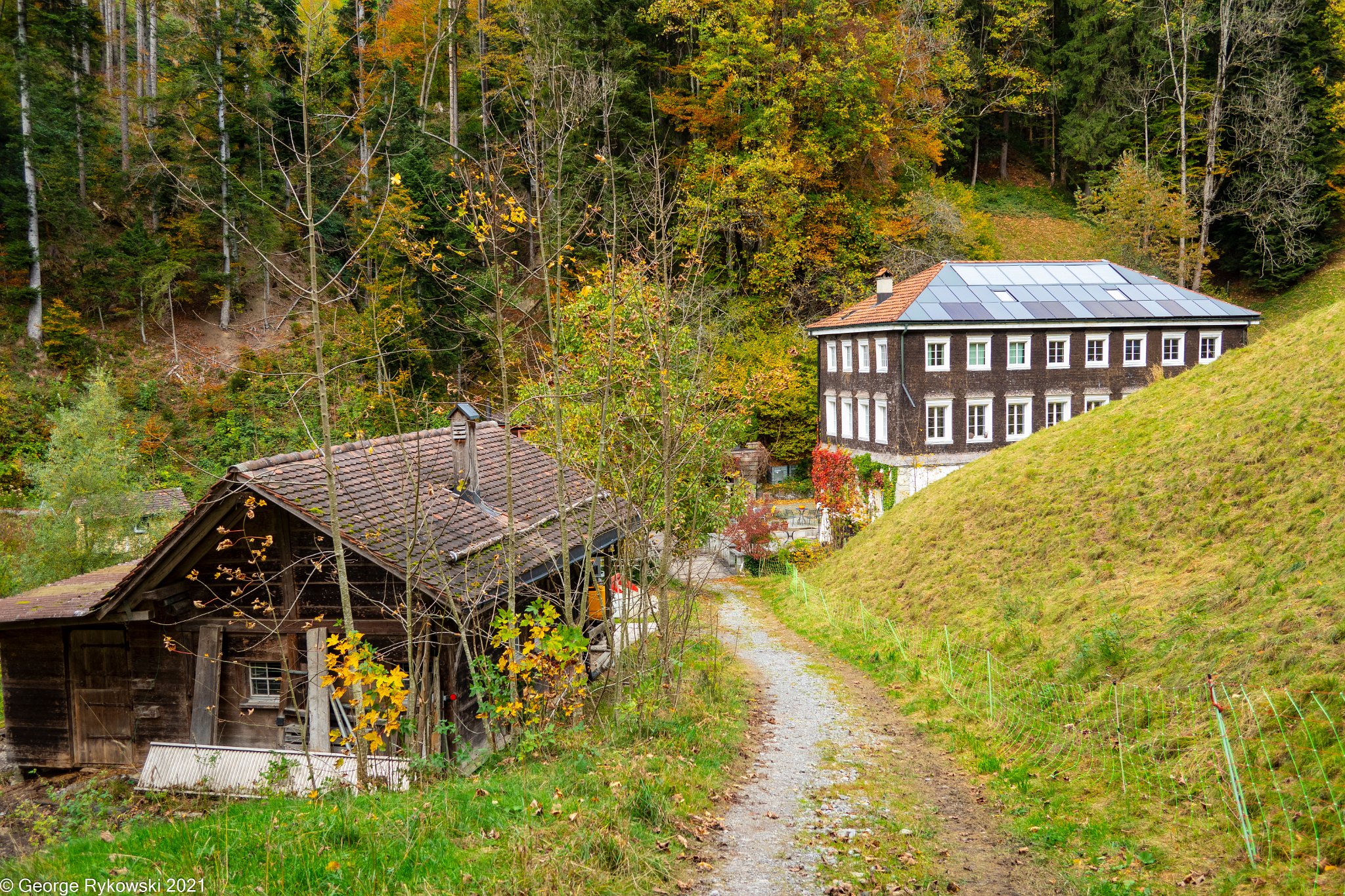 SwissVacation2019-2-1307.jpg