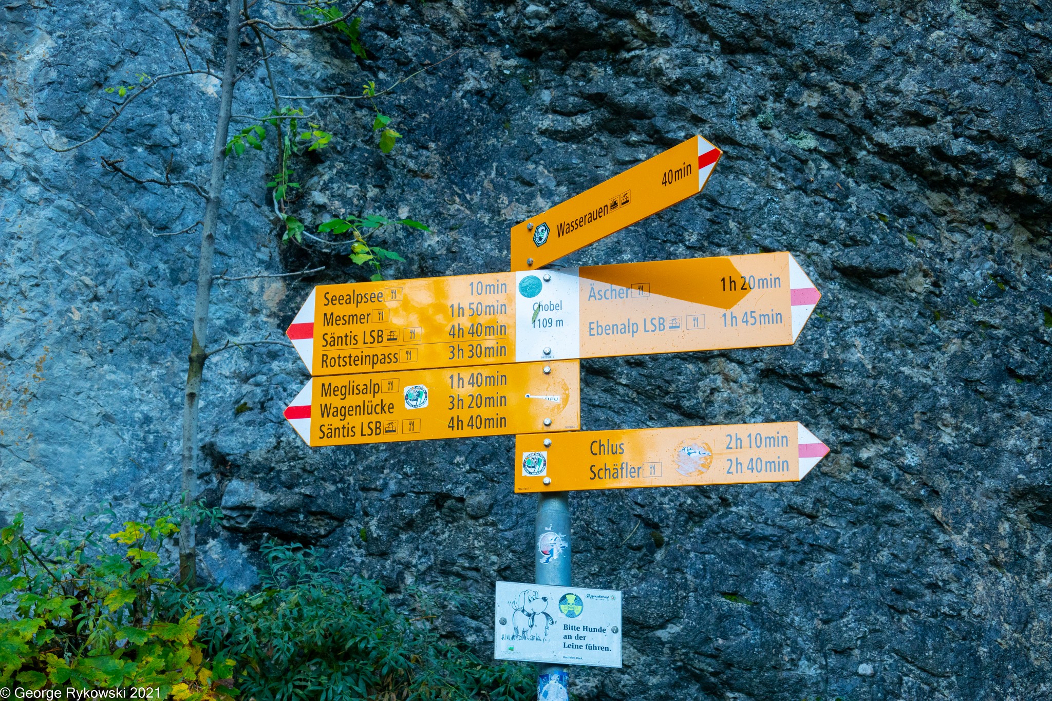 SwissVacation2019-2-1005.jpg