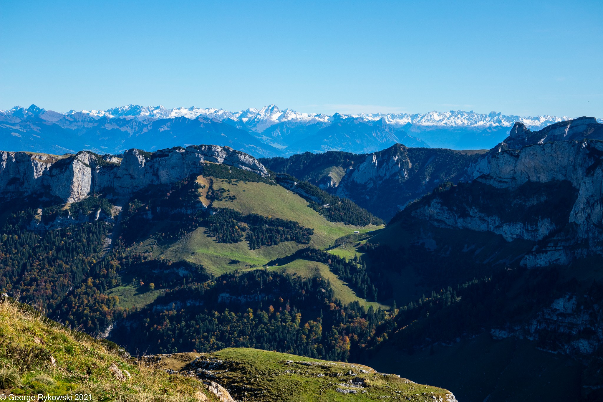 SwissVacation2019-2-1028.jpg