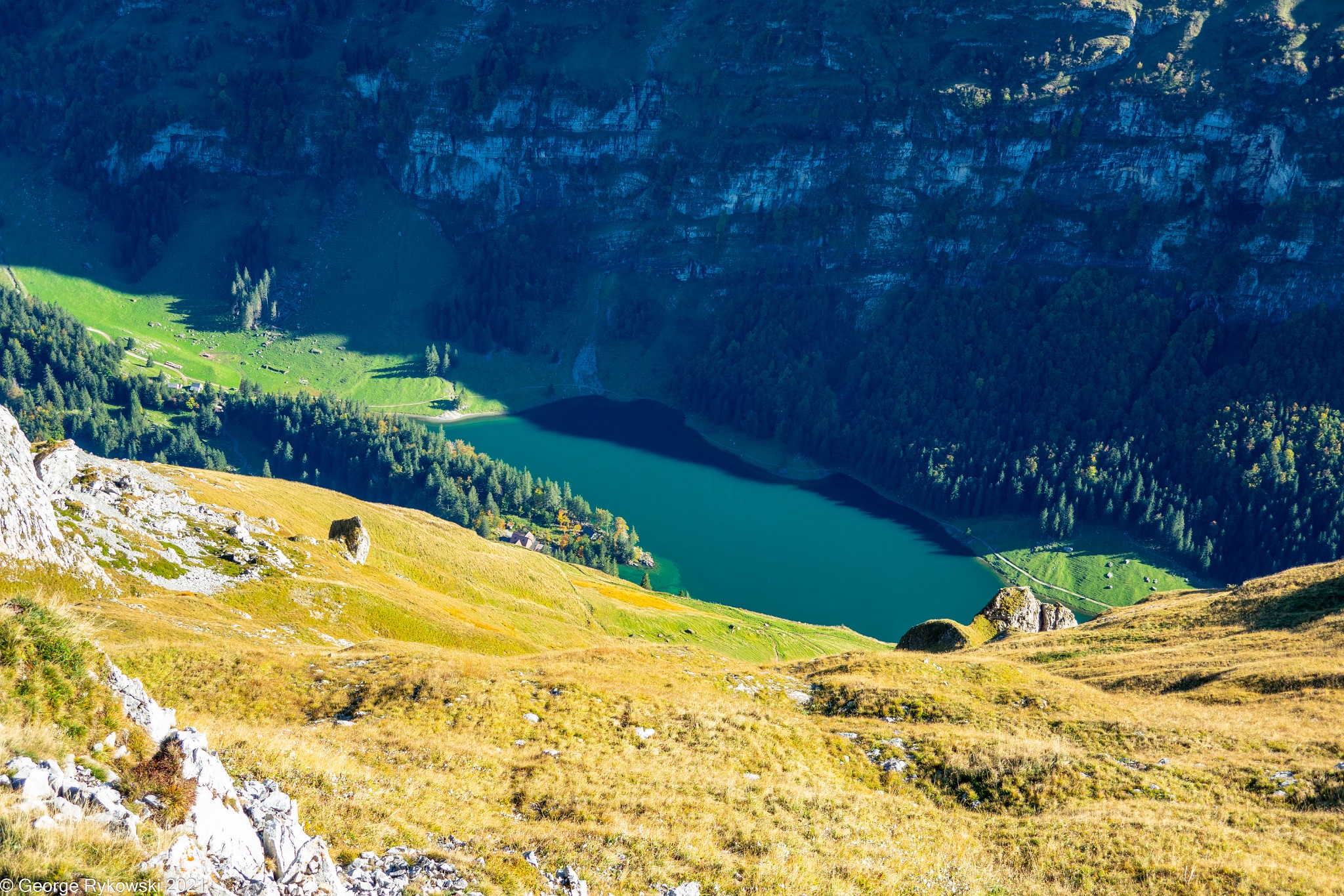 SwissVacation2019-2-1046.jpg