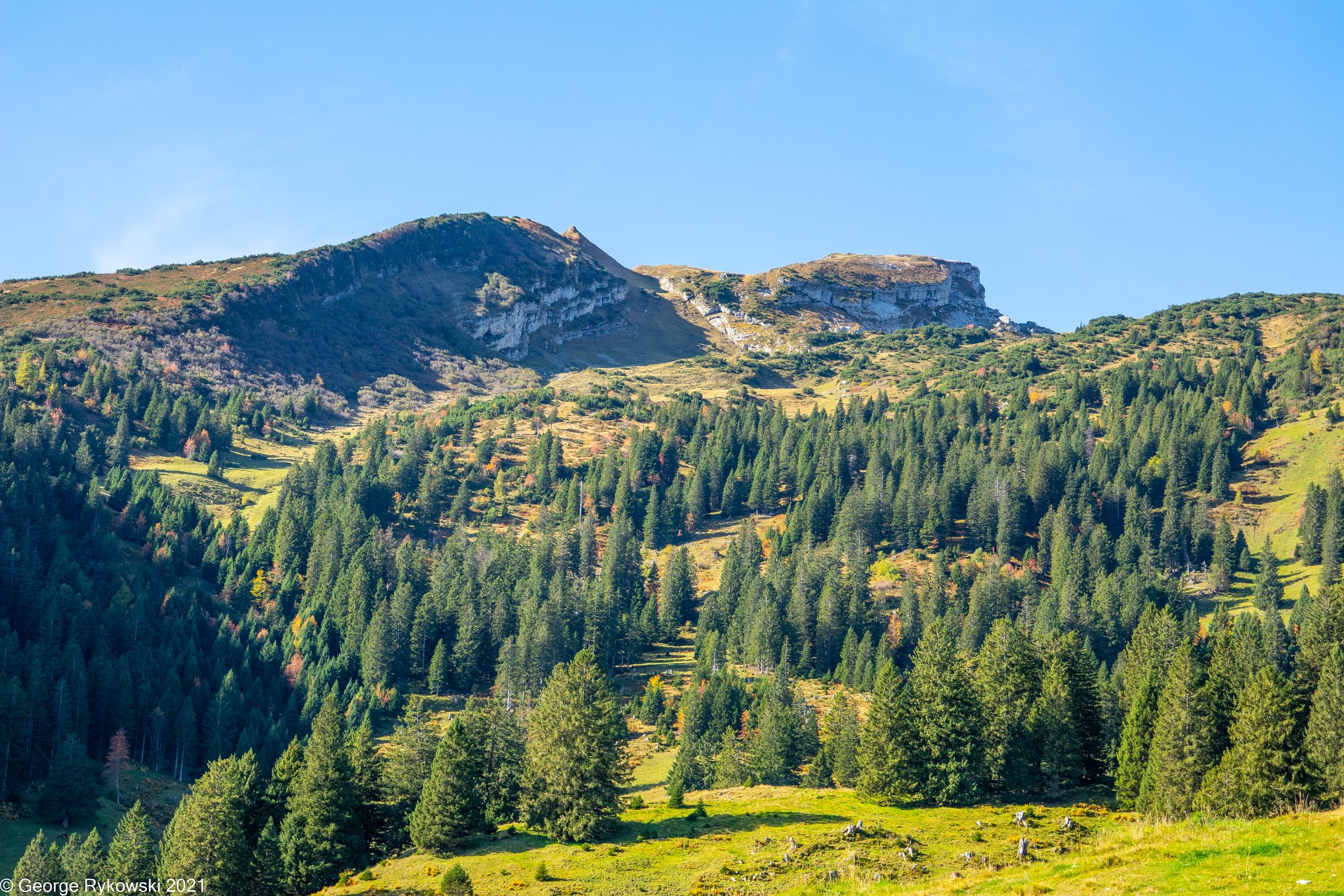 SwissVacation2019-2-1054.jpg
