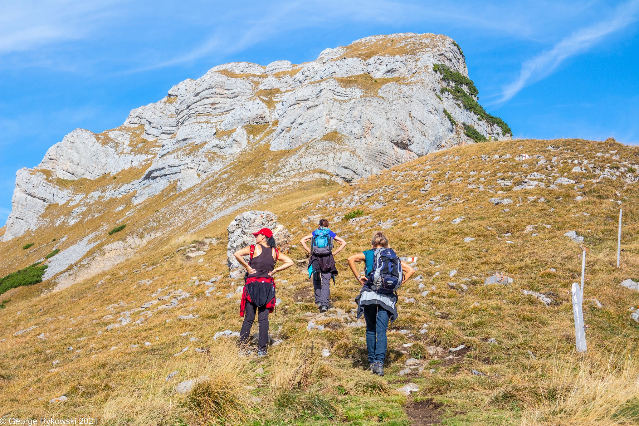 SwissVacation2019-2-1077.jpg
