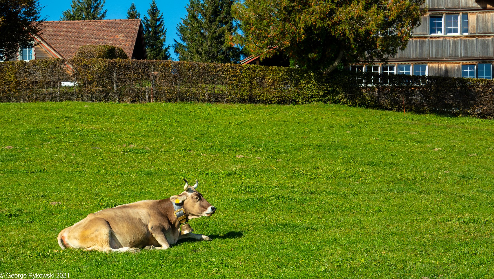 SwissVacation2019-2-1088.jpg