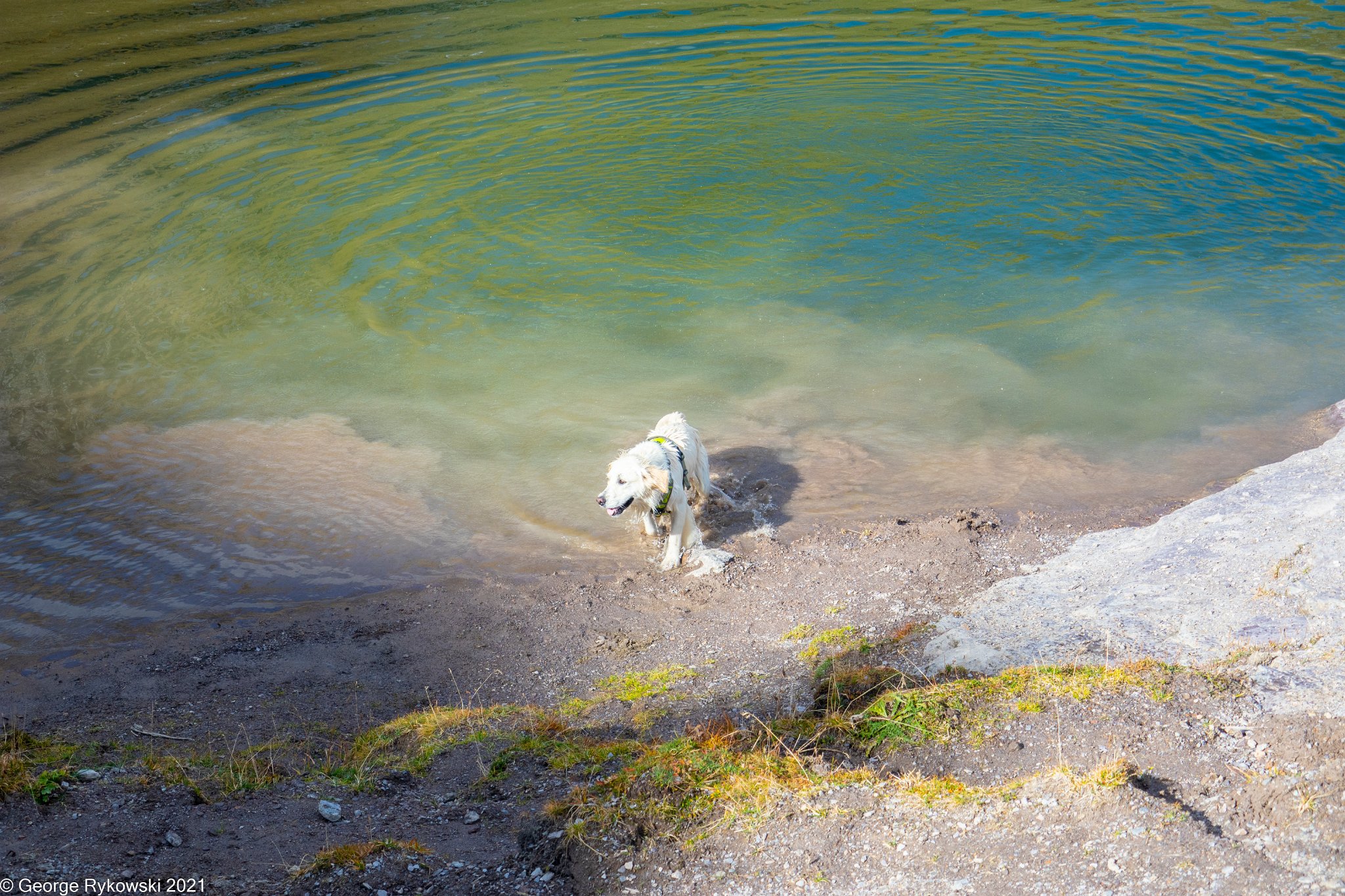 SwissVacation2019-2-1108.jpg