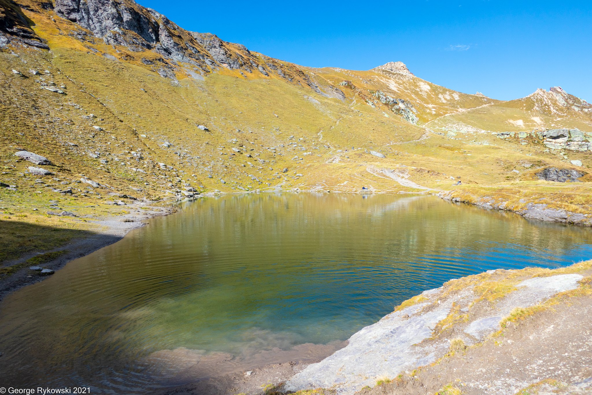 SwissVacation2019-2-1109.jpg