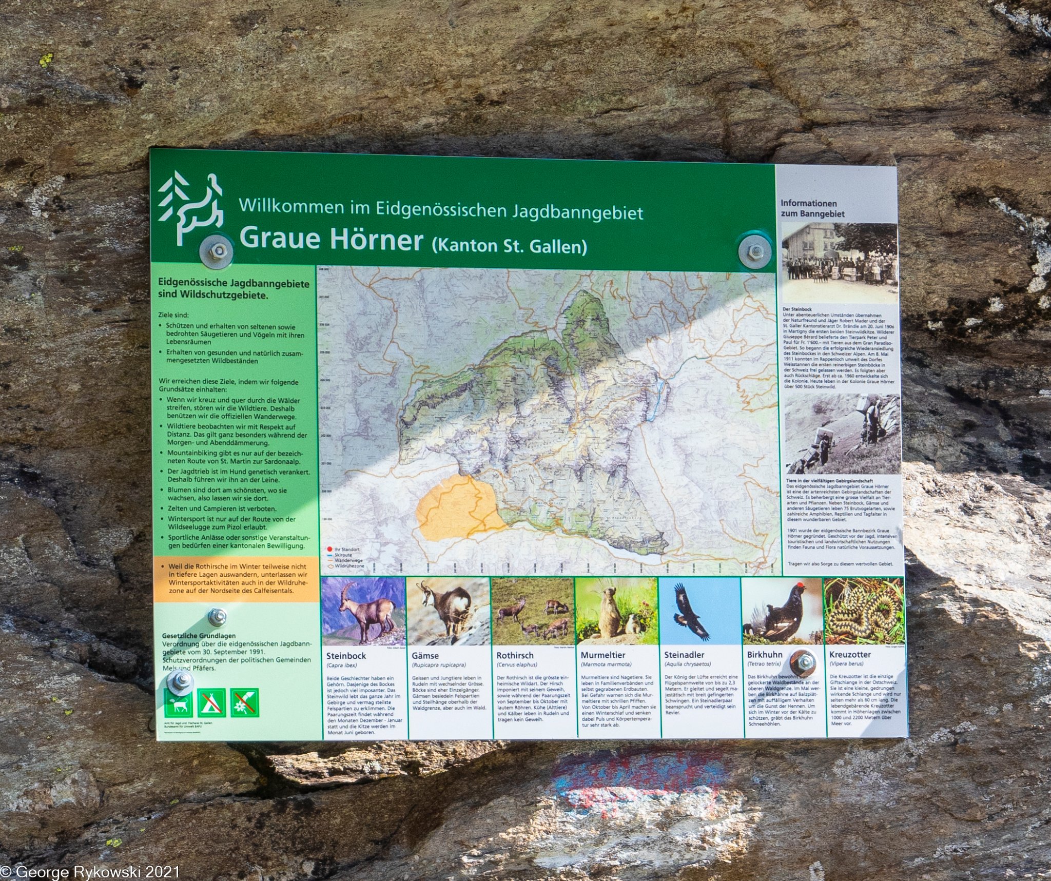 SwissVacation2019-2-1140.jpg