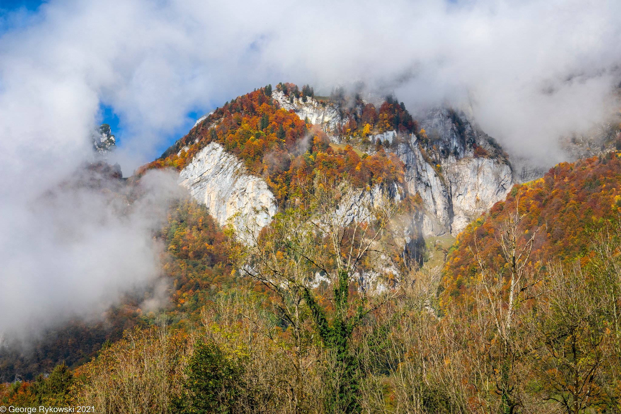 SwissVacation2019-2-1208.jpg