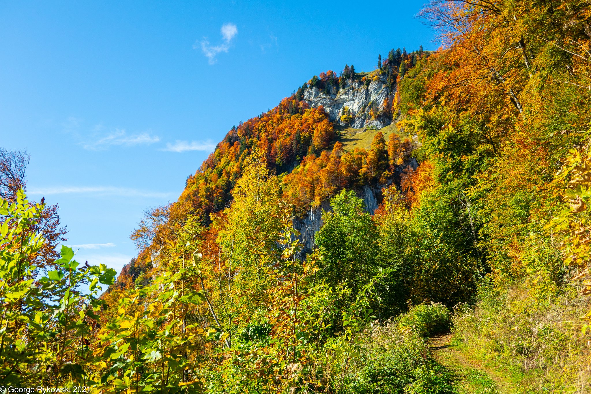 SwissVacation2019-2-1214.jpg