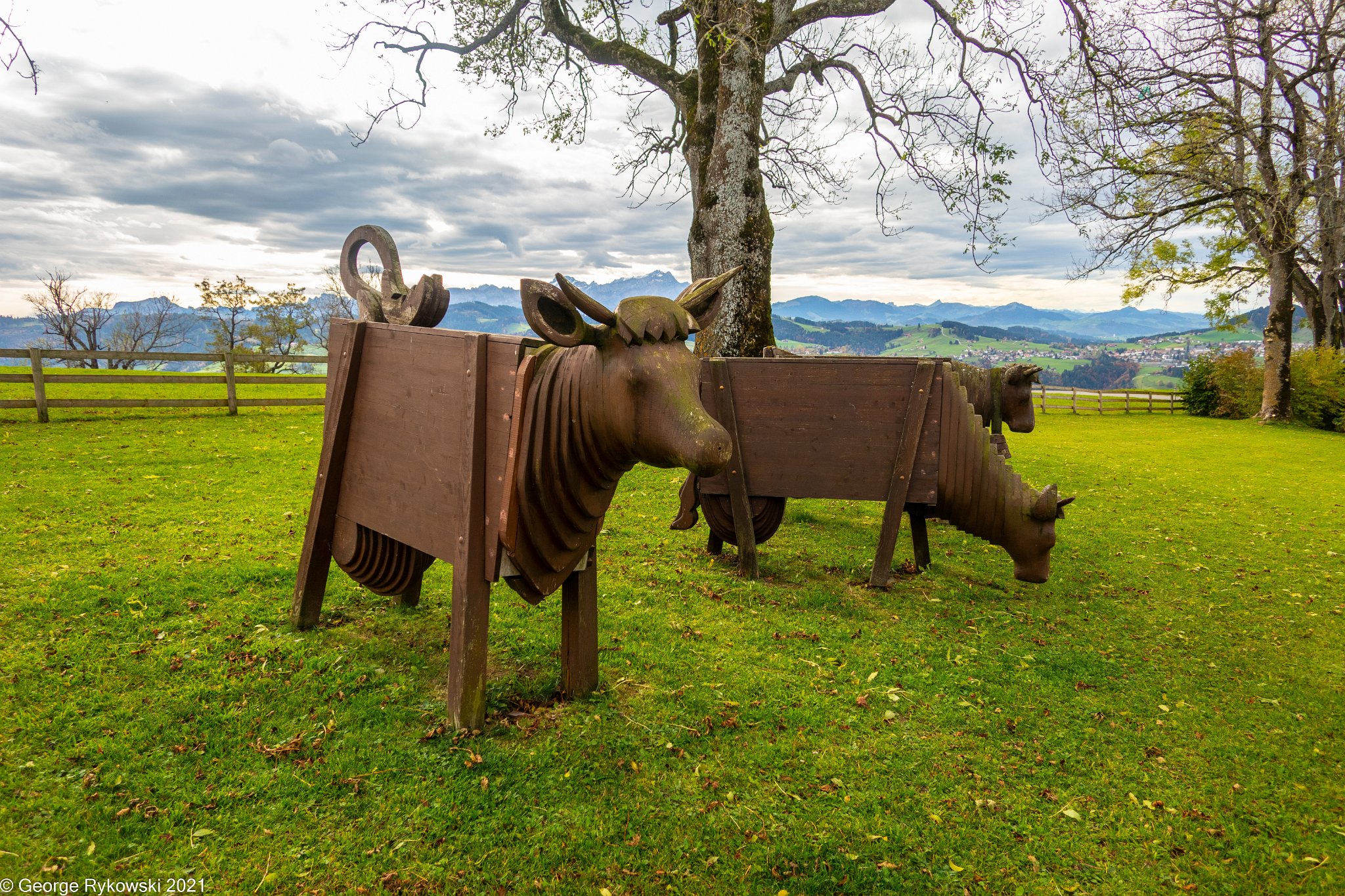 SwissVacation2019-2-1264.jpg
