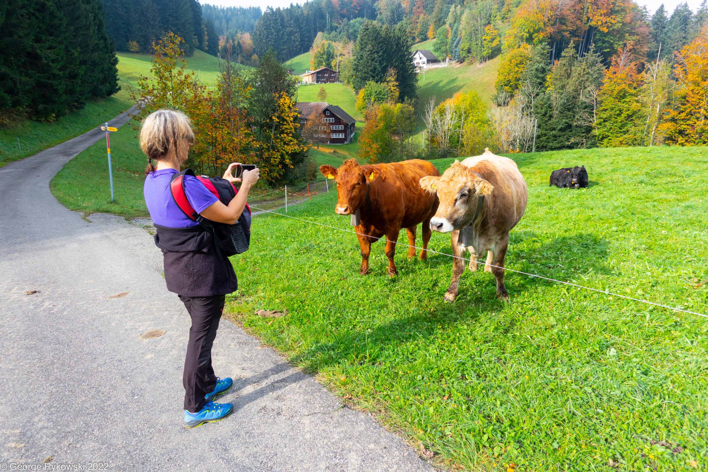 SwissVacation2022-2651.jpg
