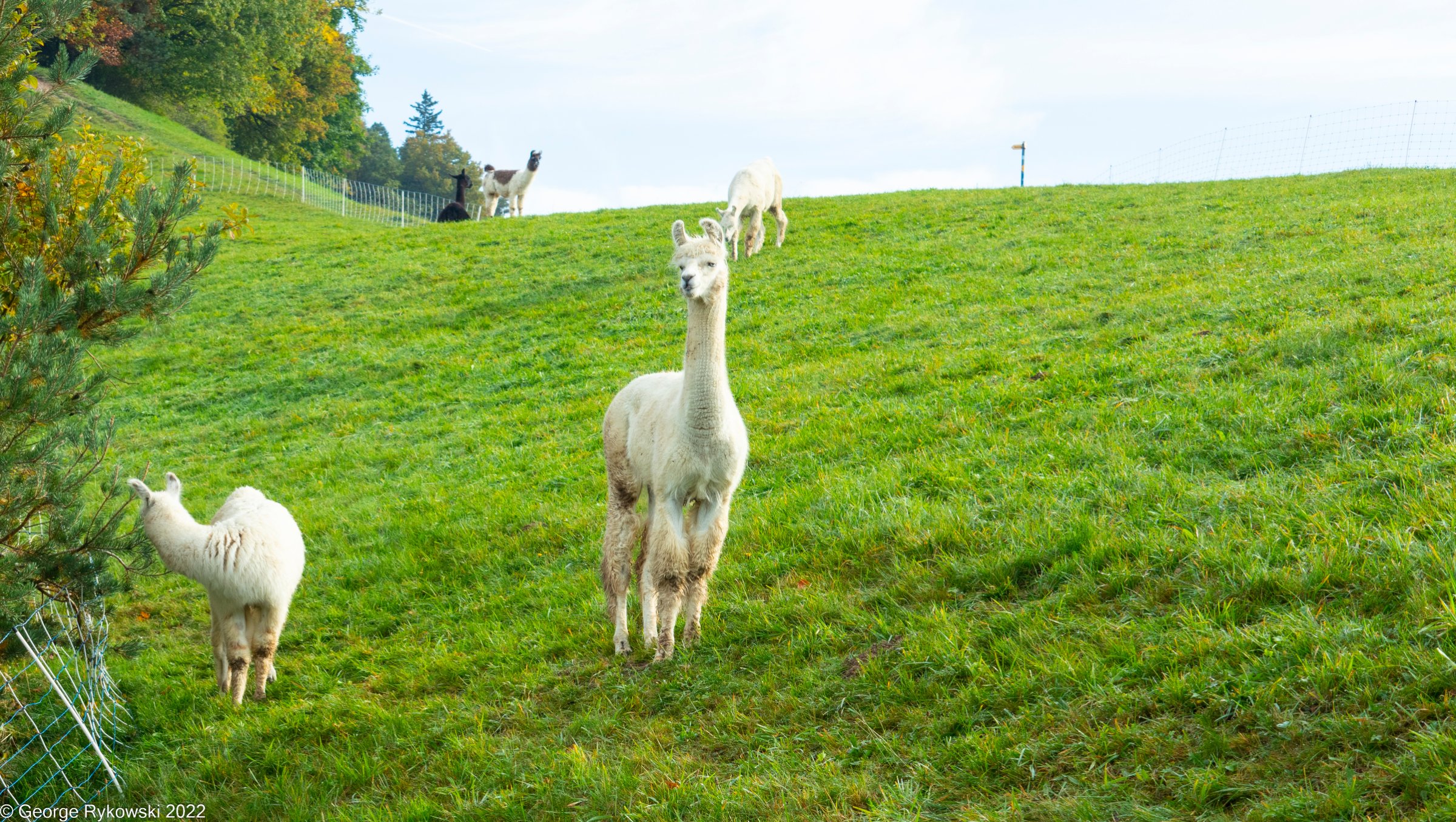 SwissVacation2022-2652.jpg