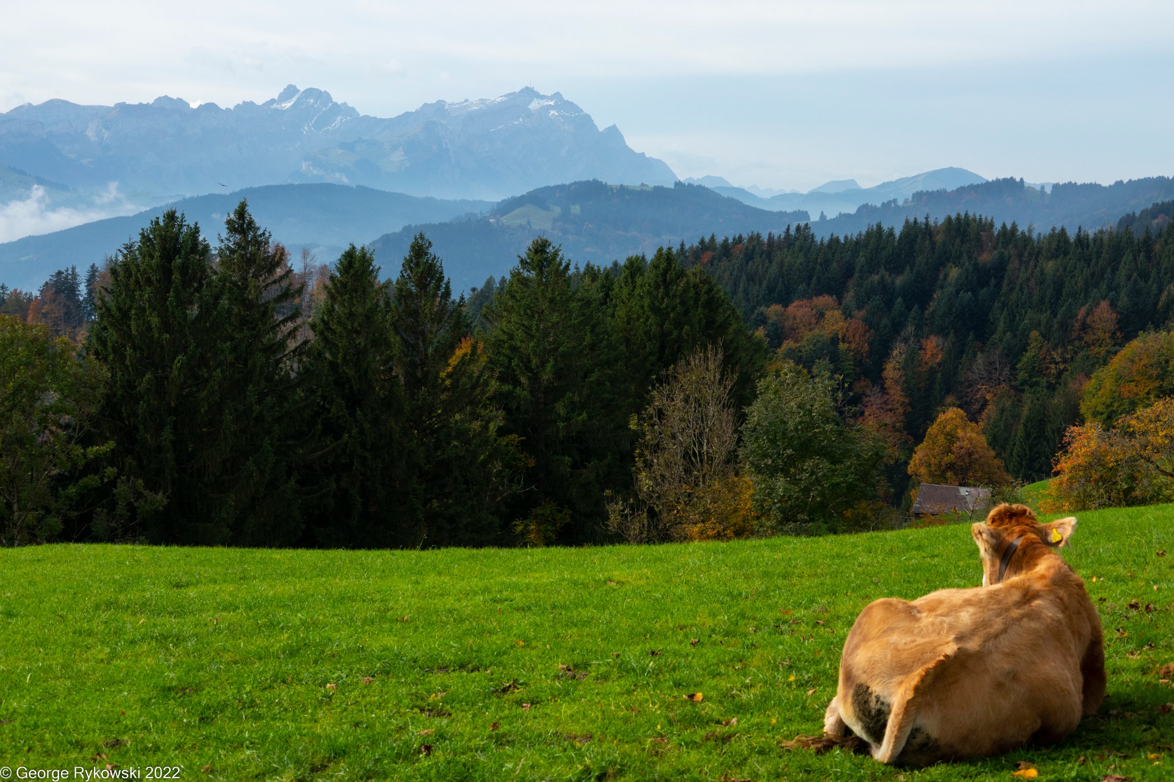 SwissVacation2022-2657.jpg