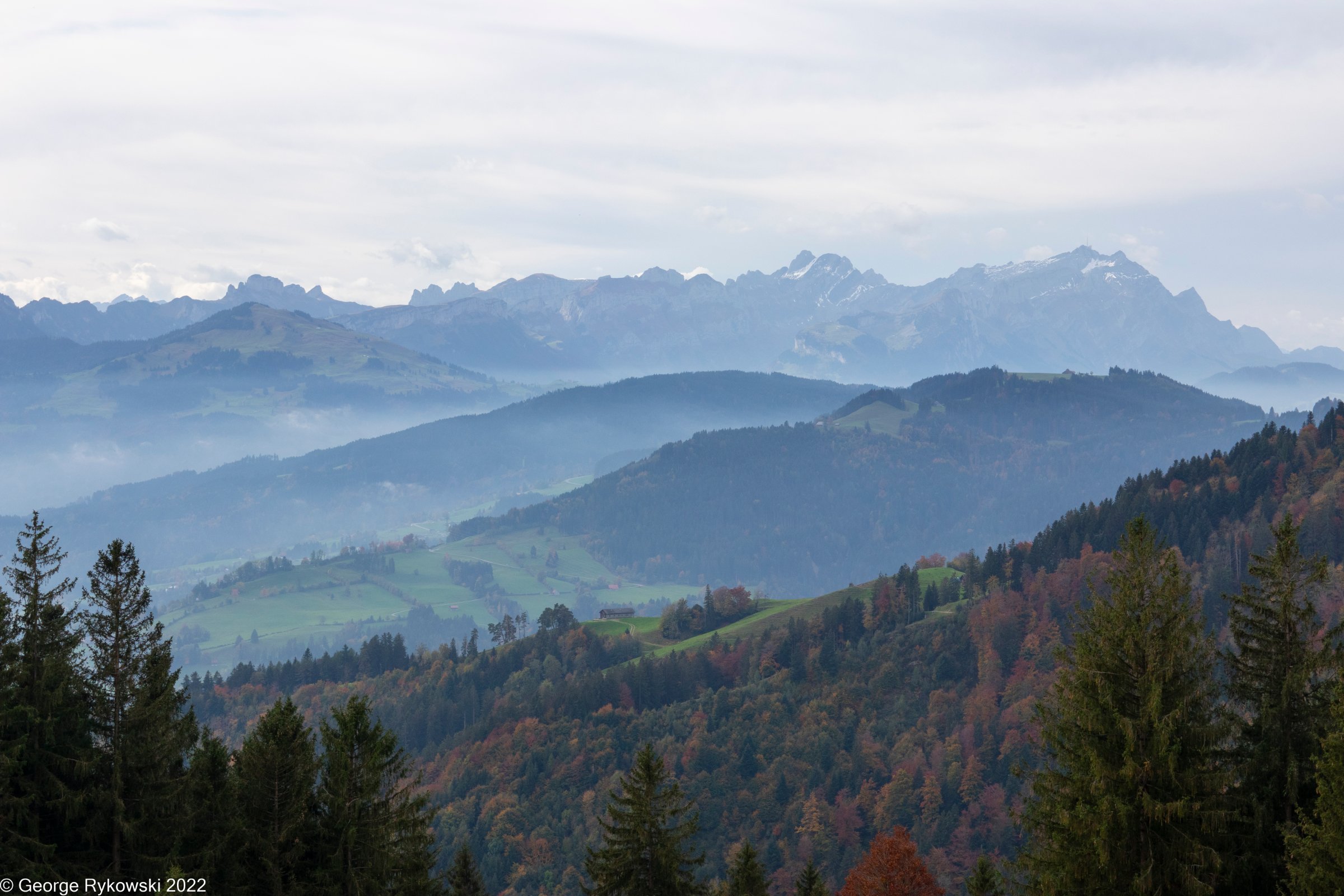 SwissVacation2022-2659.jpg