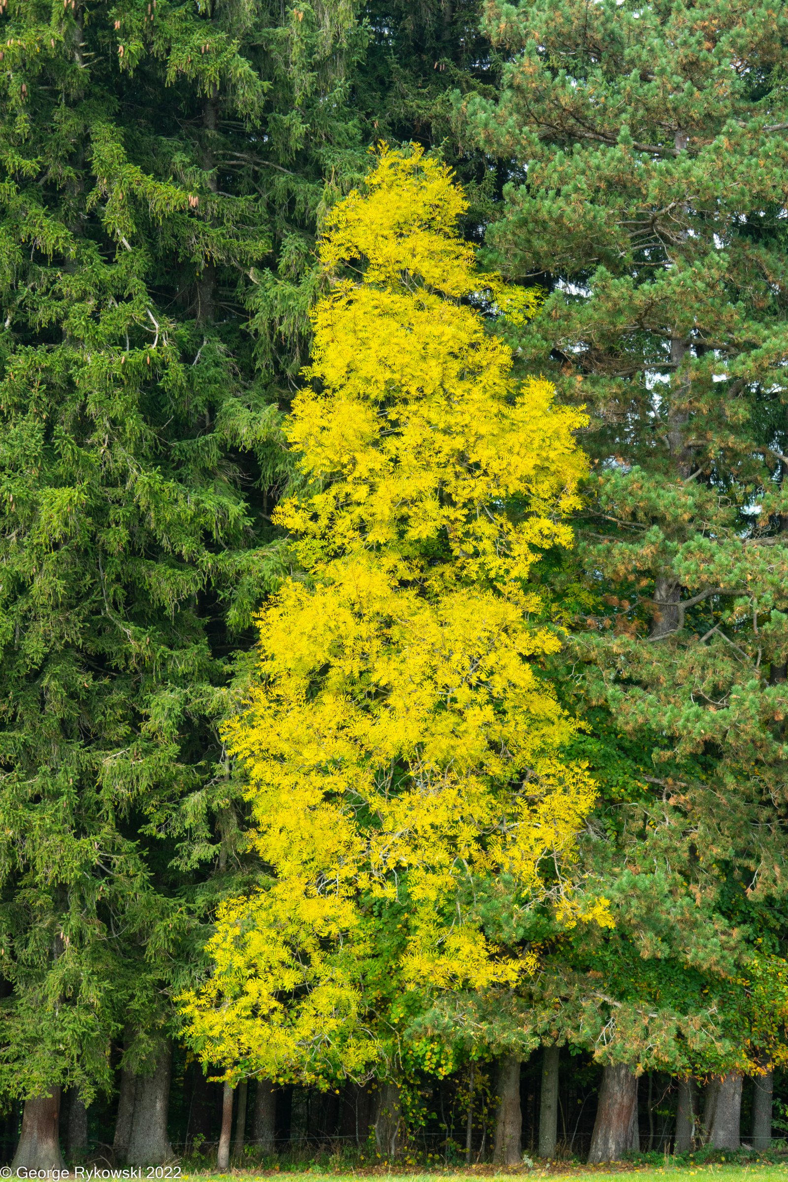 SwissVacation2022-2664.jpg