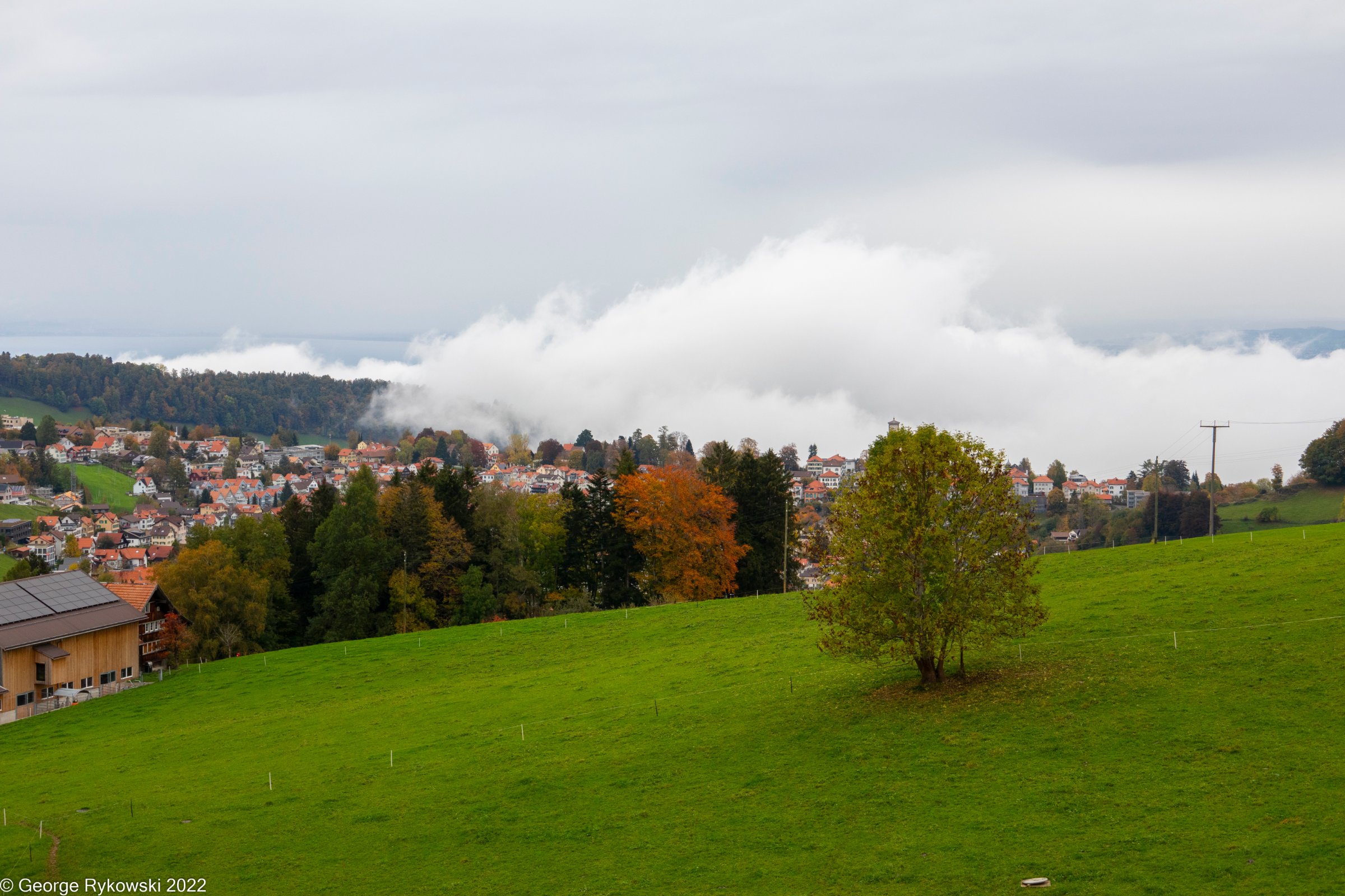 SwissVacation2022-2667.jpg