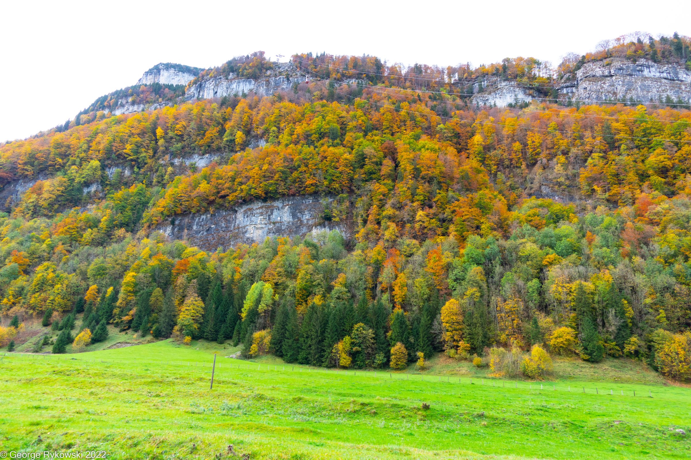 SwissVacation2022-2677.jpg