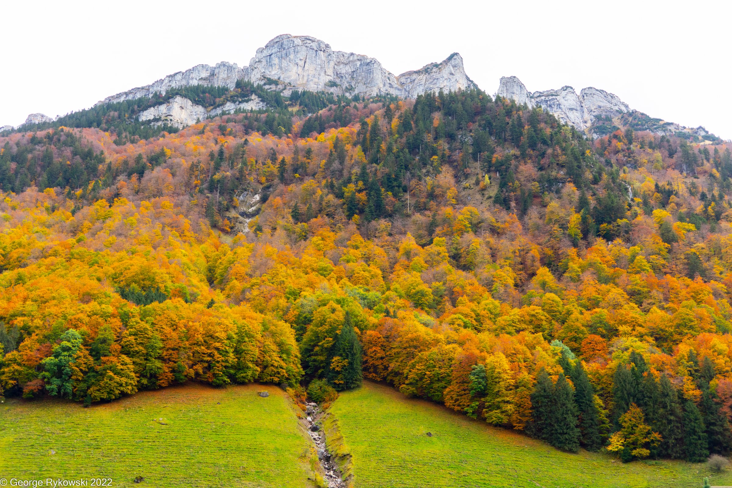 SwissVacation2022-2680.jpg