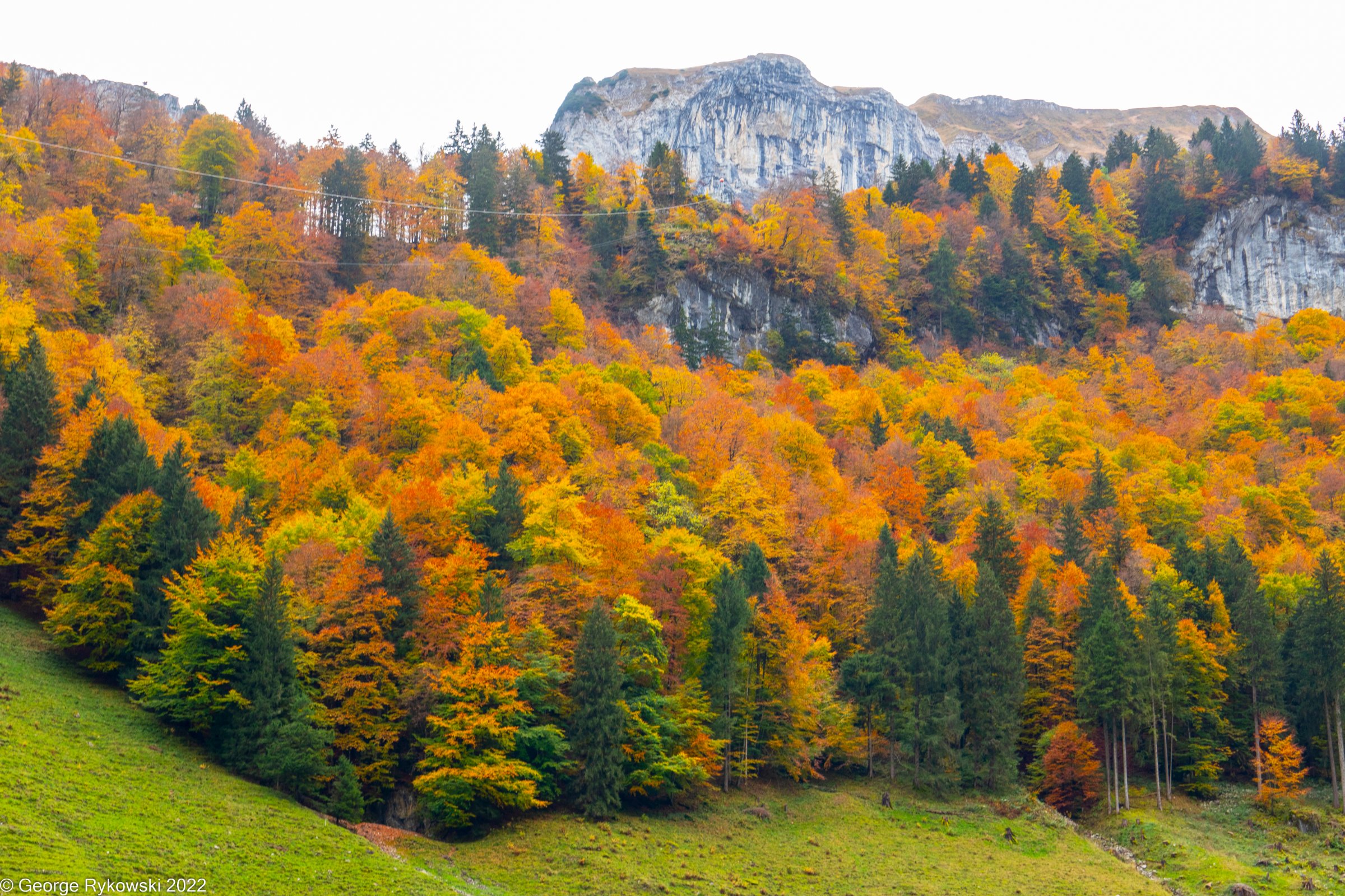 SwissVacation2022-2682.jpg