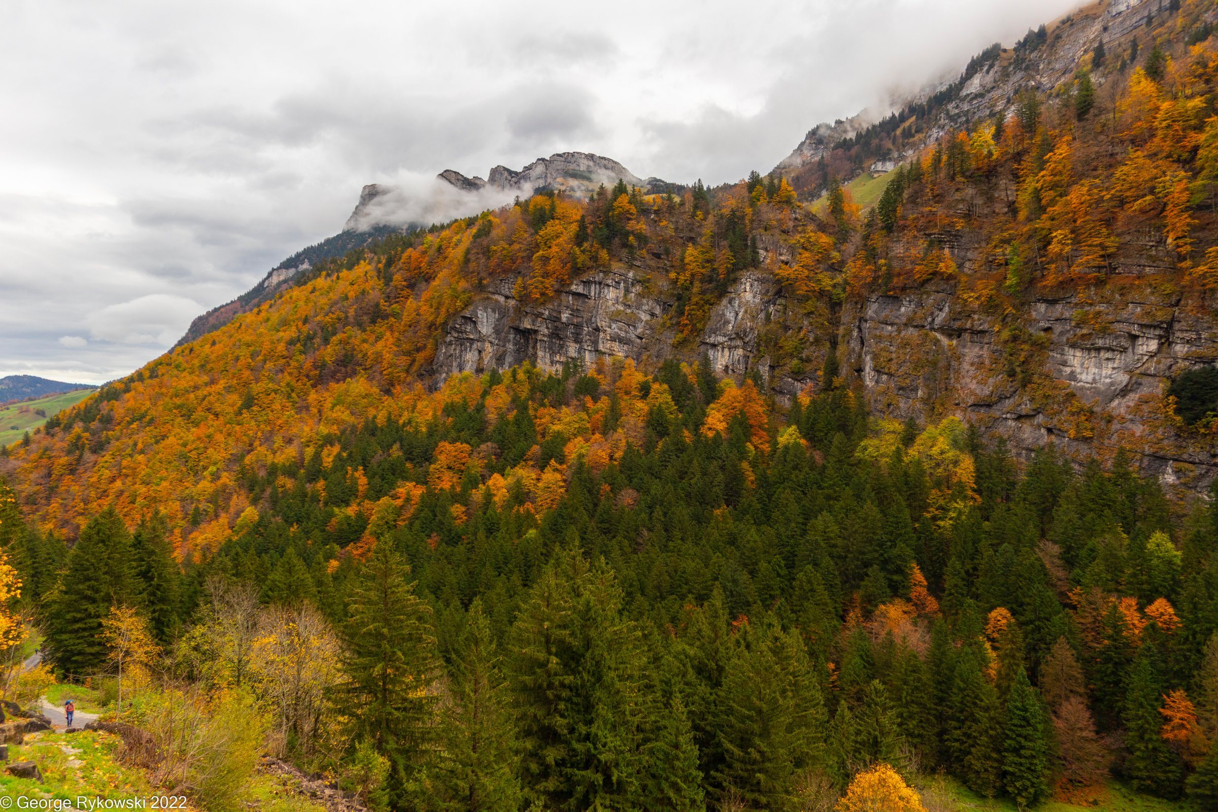 SwissVacation2022-2686.jpg