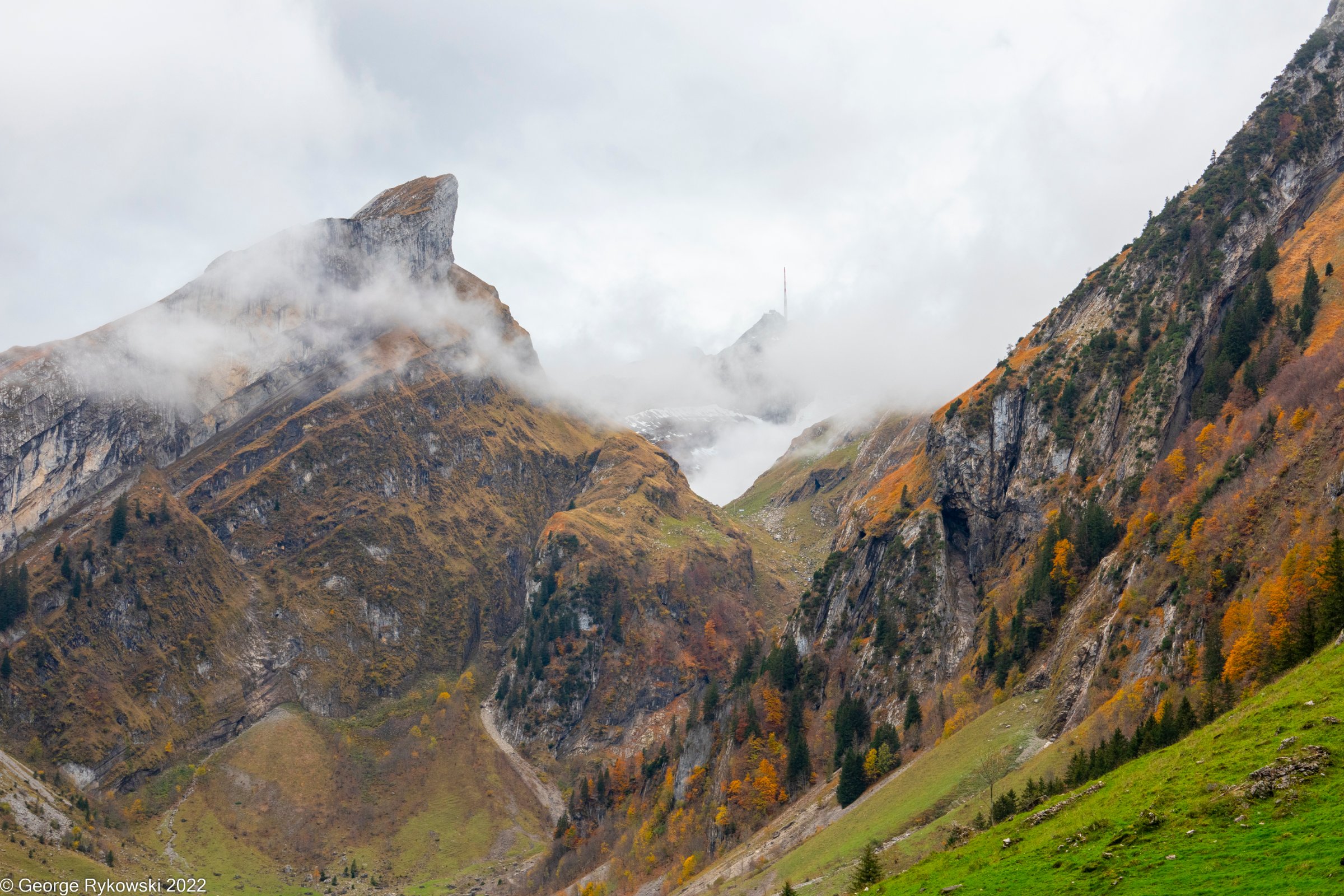 SwissVacation2022-2700.jpg