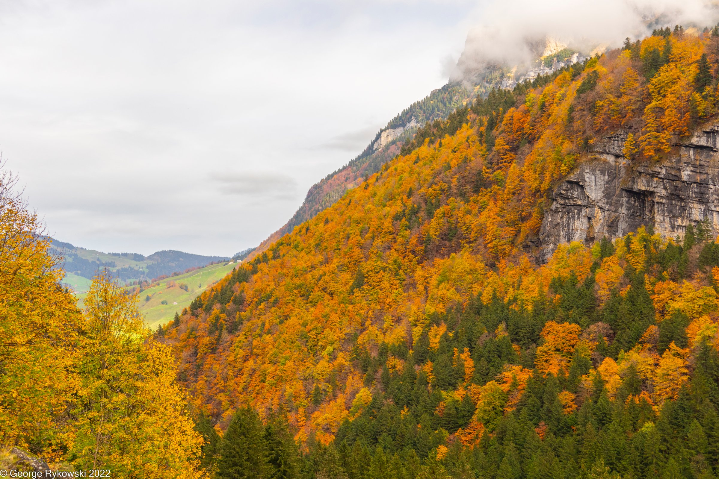 SwissVacation2022-2712.jpg