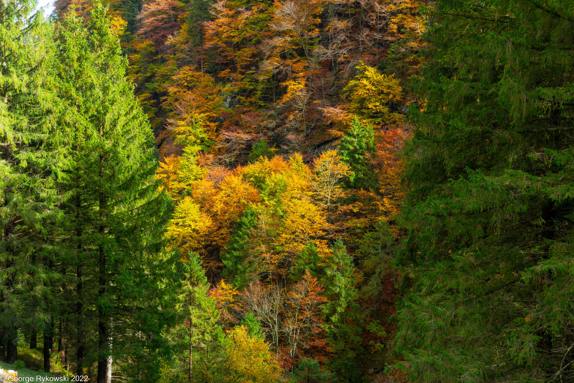 SwissVacation2022-2716.jpg