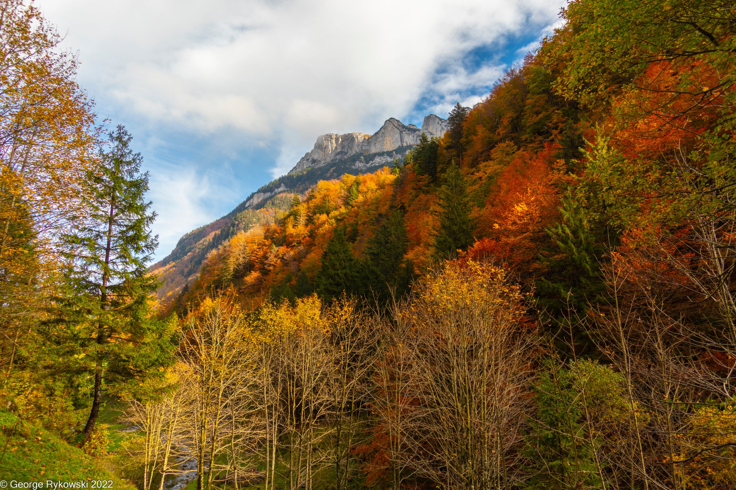 SwissVacation2022-2717.jpg