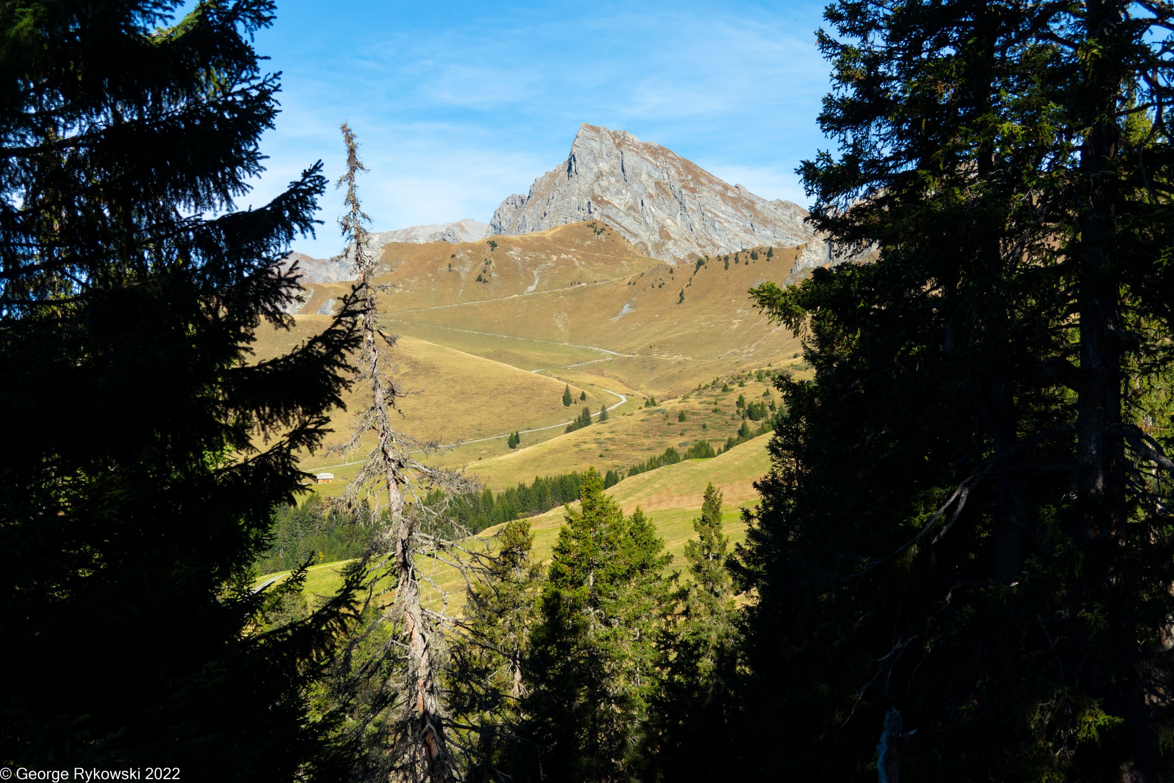 SwissVacation2022-2766.jpg