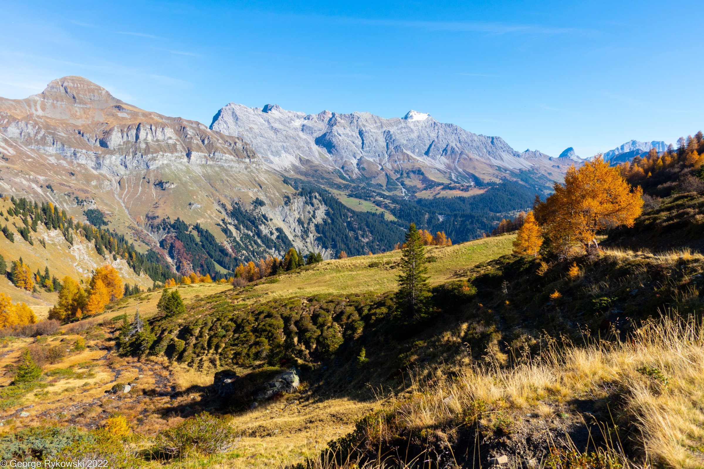 SwissVacation2022-2779.jpg