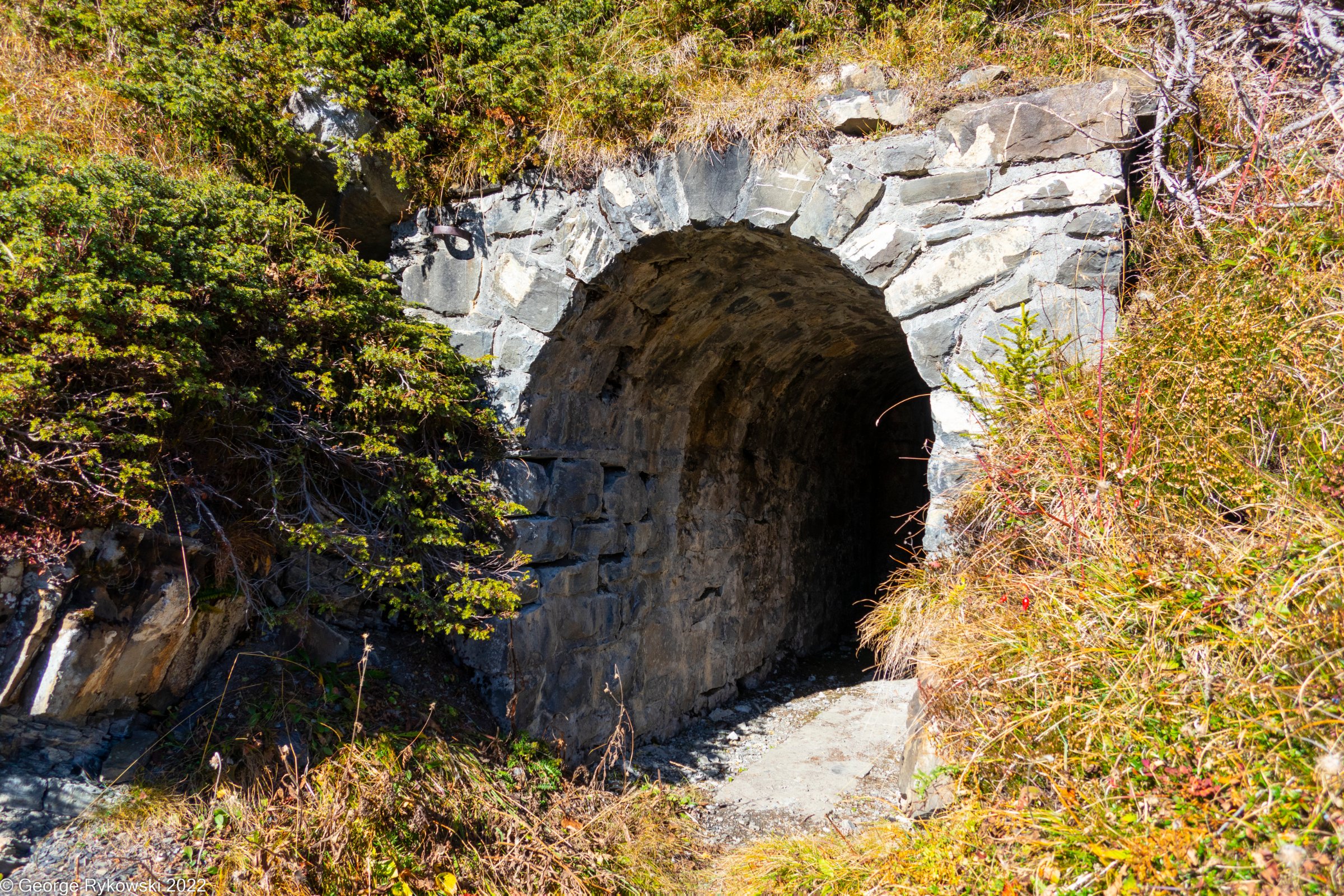SwissVacation2022-2789.jpg